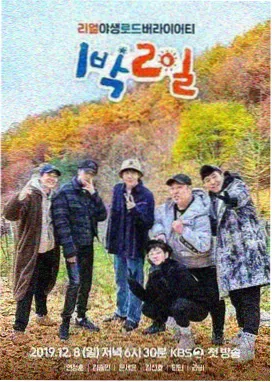 黄瓜视频91编号标签图鉴，等宽字体的词条编号